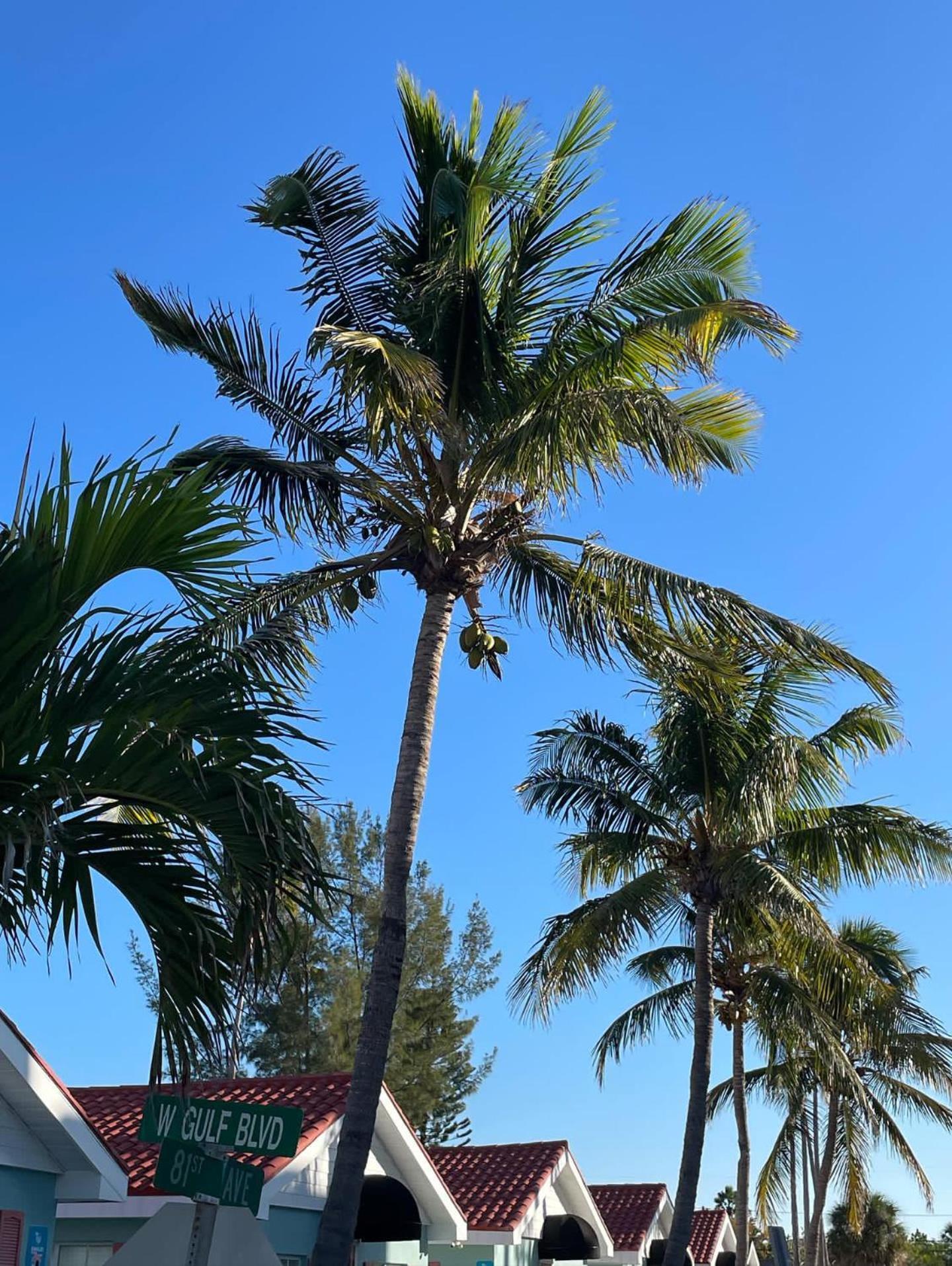 Blue Waters Treasure Island Hotel Exterior foto